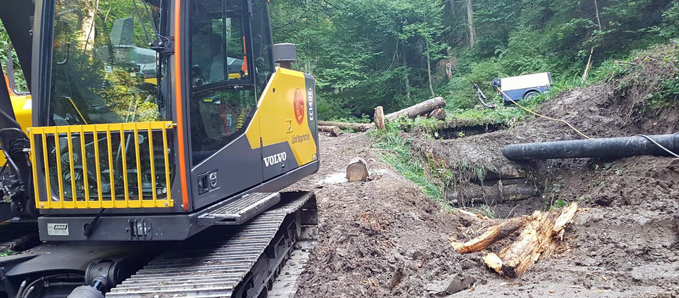 Lüönd Baggerbetrieb Bagger im Wald