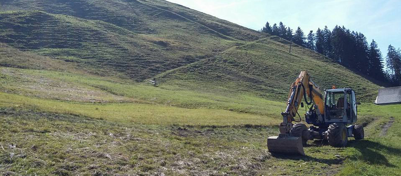 Lüönd Baggerbetrieb Bagger auf dem Lande